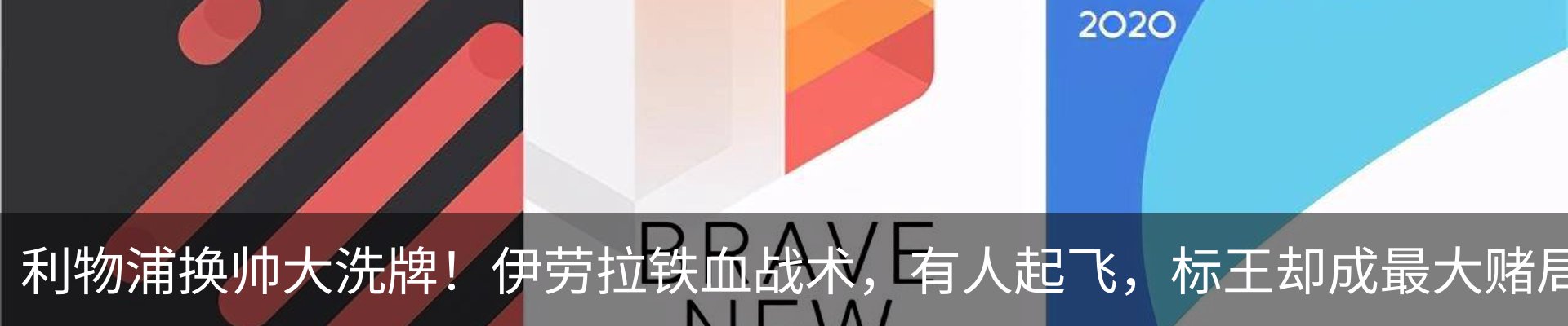 最新动态