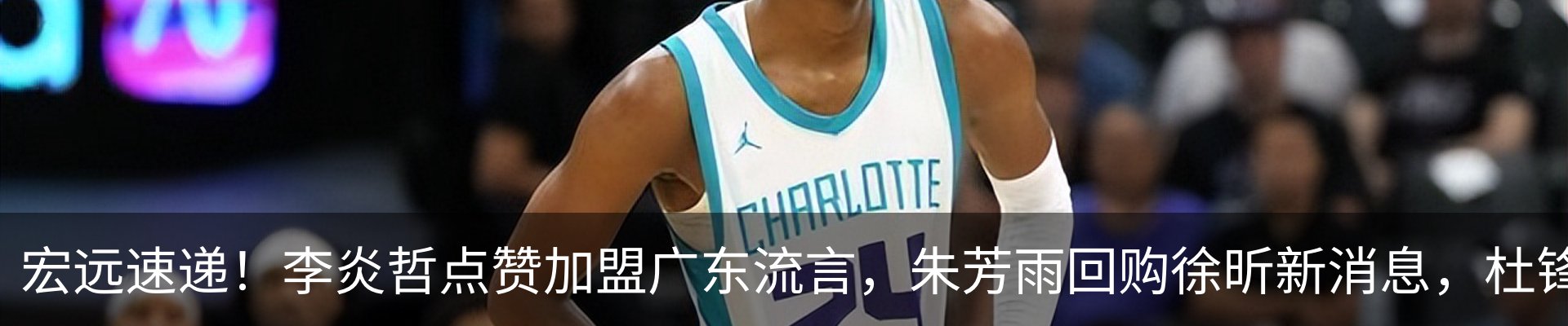 最新动态