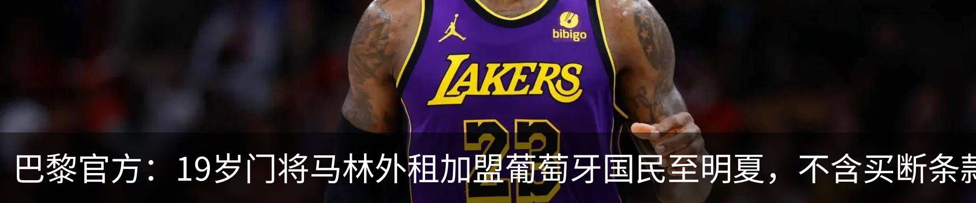 最新动态